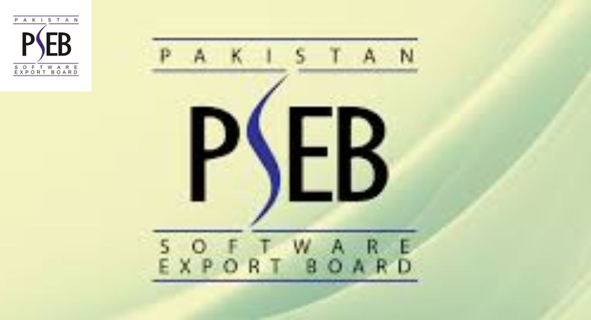 What is the PSEB Internship Program?